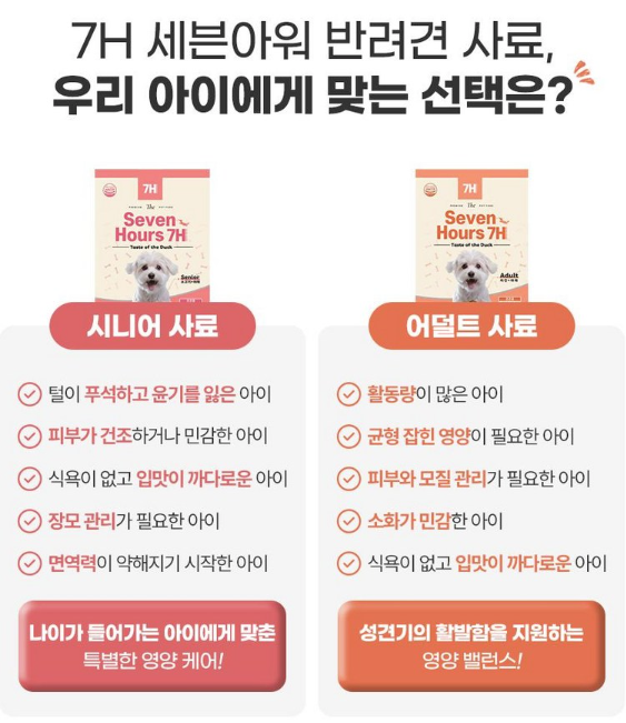 화면 캡처 2024-12-27 112425.png