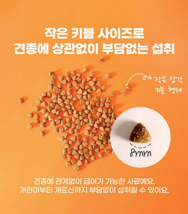 화면 캡처 2024-12-27 112529.png